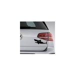 Adhsif voiture poisson requin