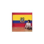 Autocollant mural drapeau equateur
