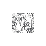 Papier peint entr�e motif de feuilles de bambou