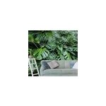 Papier peint for�t jungle plante