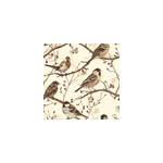 Papier peint pour tete de lit oiseaux sauvages Papier peint pour tete de lit oiseaux sauvages