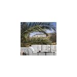 Photo murale hollywood et feuilles de palmiers