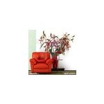 Photo murale vase rouge