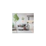 Poster fleurs dans un pot