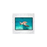 Poster image tortue de mer