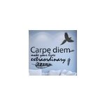 Sticker mural salon zen carpe diem