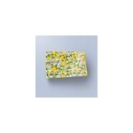 Sticker carte bancaire citronnier