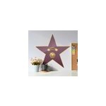 Sticker chambre ado �toile walk of fame avec pr�nom