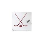 Sticker crosses et palet de hockey