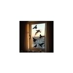 Sticker fentre anti - collision des oiseaux