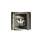Sticker fentre masques carnaval avec plumes