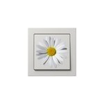 Sticker interrupteur marguerite