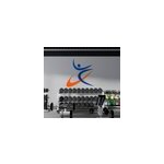 Sticker logo sport gymnaste