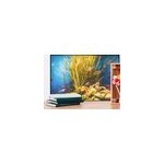 Sticker maison aquarium marin