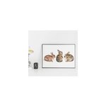 Sticker mural animal lapin r�aliste