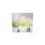 Sticker mural fleur margerites sur le terrain