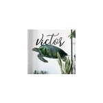 Stickers mural tortue de mer avec pr�nom