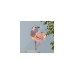 Sticker d'oiseau bleu sur une fleur de chicor�e