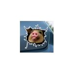 Sticker voiture cochon 3d amusant