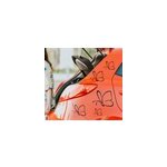 Sticker voiture tuning papillons simples