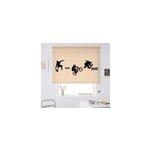 Store enrouleur pour chambre ado sport de skate bmx