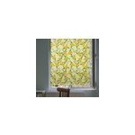 Store enrouleur cuisine motif de citrons sur fond vert