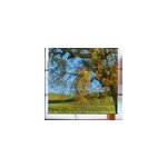 Store enrouleur image d'un arbre en 3d