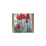 Stores avec fleurs tulipes rouges color�es