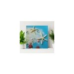 Tableau 3d �toiles de mer sur sable color�