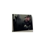 Tableau dcoratif elegantes flores piedras zen