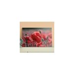 Tableau fleurs champ de pavot rouge et vert Tableau fleurs champ de pavot rouge et vert