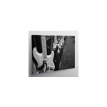Tableau th�me musique guitarras electricas