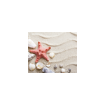 Tapis de souris style original étoile de mer Tapis de souris style original étoile de mer