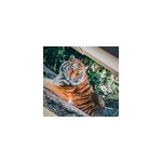 Tapis vinyle salle de bain animal tigre
