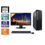 Lenovo thinkcentre m77 sff amd athlon dual core + cran - 19  8go ram 500go hdd linux