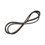 10x1446mm courroie trapezoidale pour lave linge miele