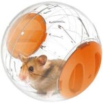12cm boule gym pour hamsters et souris jouet d'activit� pour petits animaux balle d'exercice pour hamster ...
