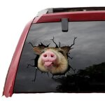 28 autocollants automobiles, autocollants muraux, autocollants 3d pour animaux int�ressants, taille 30 ...
