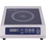 Gojoy ? plaque de cuisson � induction 3500 w ? 13 vitesses ? affichage led ? protection surchauffe ? ...