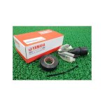 90891 - 30094 kit de fils secondaire relais clignotant - yamaha
