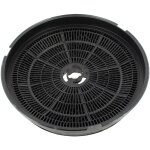Filtre charbon rond type 180 d=190mm 484000008647 - hotte