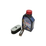 Altrad - kit entretien moteur robin sp170 betonniere pro. & guy noel