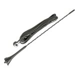 Antenne de toit am fm universelle 4. 5m non amplifiee