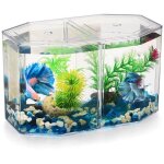 Aquarium de bureau de miniature: petit aquarium betta avec cloison amovible pour betta, poisson rouge ...