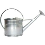 Arrosoir en zinc avec pomme d'arrosage amovible 8 litres