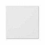 Assiette k45 vierge blanc neige simon k17 / 9