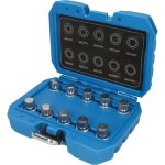 Brilliant tools - assortiment d'antivols de jantes pour vw 10 pices - bt691310