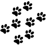 Autocollants en vinyle motif pattes de chat / chien