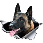 Autocollant de voiture malinois belge autocollant de voiture autocollants r�fl�chissants 25 cm 3d d�chir� ...