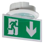 Baes d'évacuation eco 1 à leds 45 lm 1 heure plastique ip66 ik10 sati autodiag legrand Baes d'évacuation eco 1 à leds 45 lm 1 heure plastique ip66 ik10 sati autodiag legrand